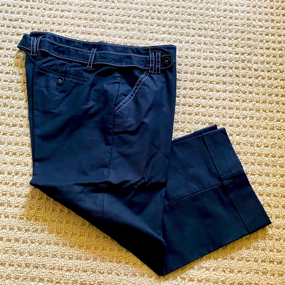 Ann Taylor Capri Pants